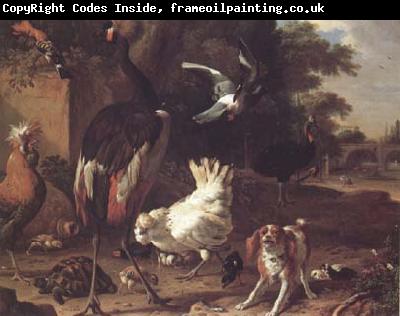 Melchior de Hondecoeter Birds and a Spaniel in a Garden (mk25)